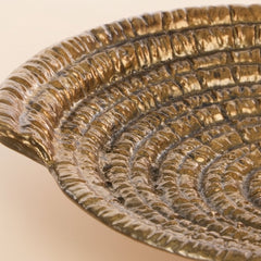 Bobina Coil Dish