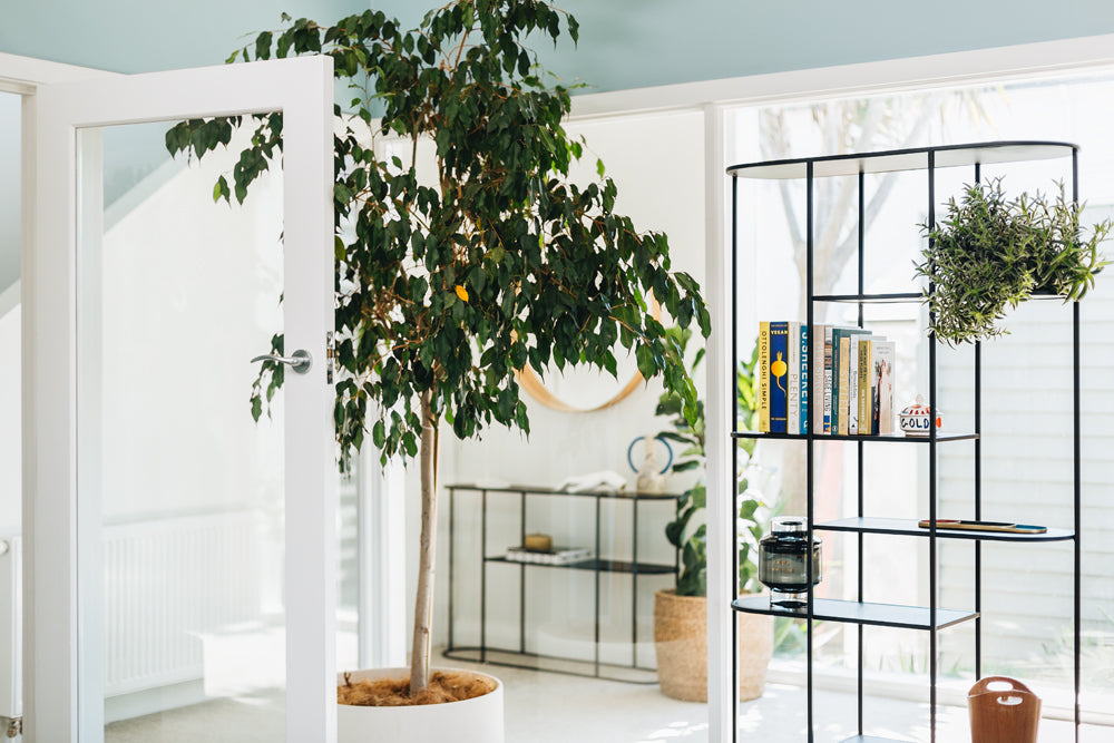 Deco Bookcase
