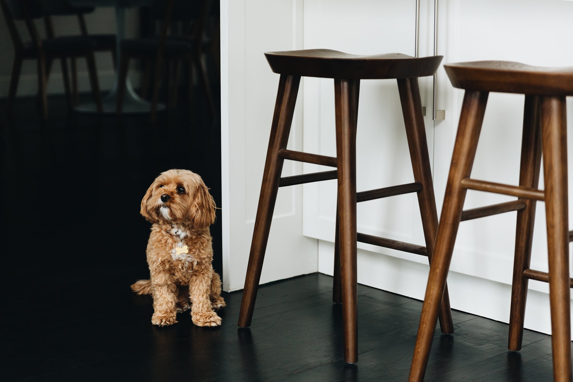Fuji Bar Stool - Deep Oak