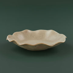 Flutter Dish