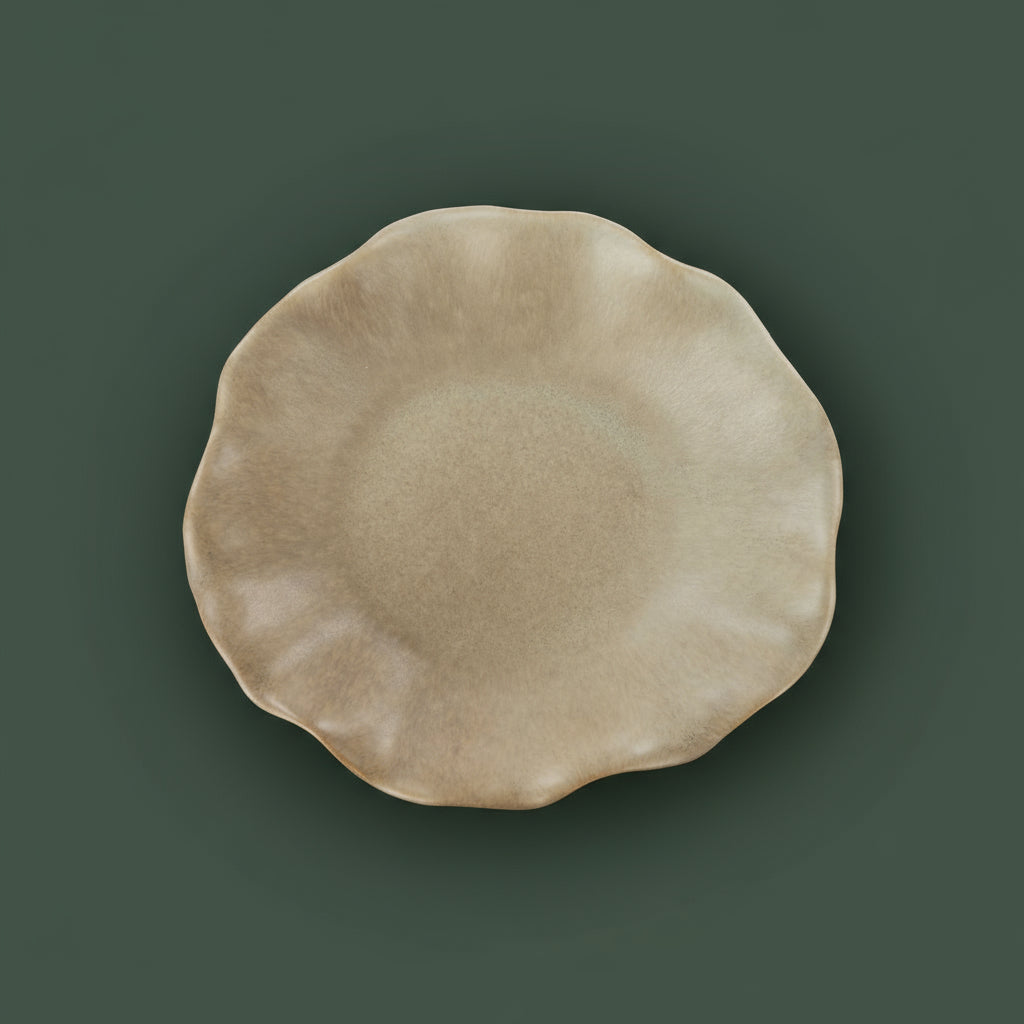 Flutter Dish