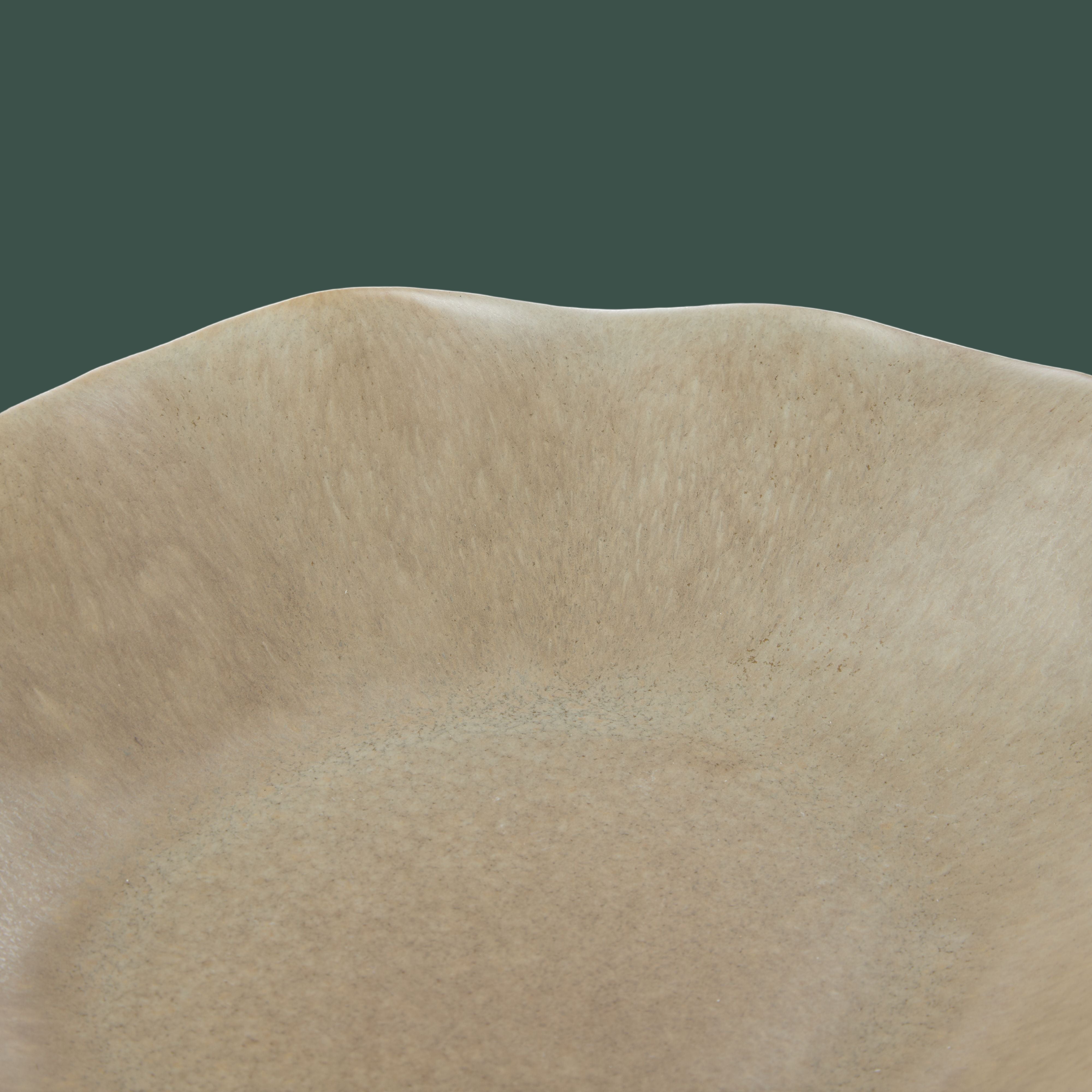 Flutter Dish