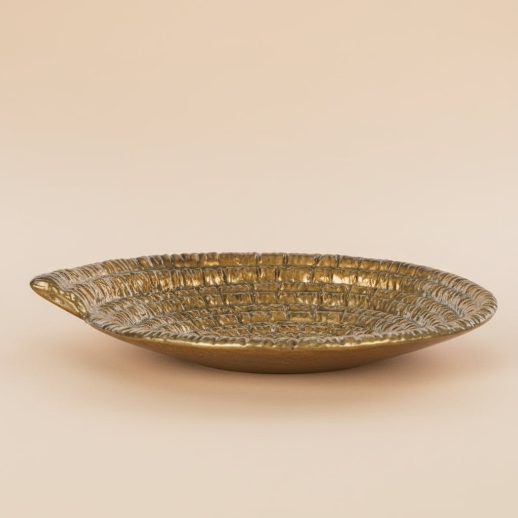 Bobina Coil Dish