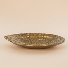 Bobina Coil Dish